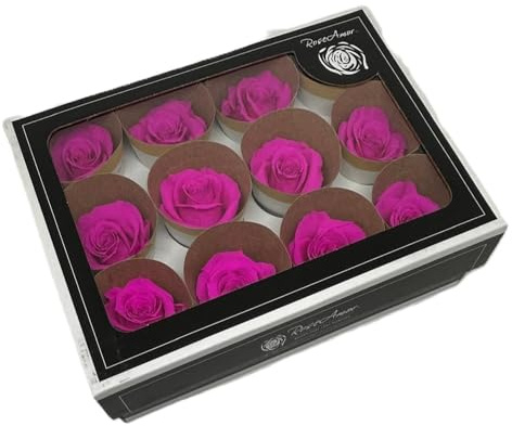 Generico 12 Rose Stabilizzate Classic Roses Ciclamino 3x3.7 cm
