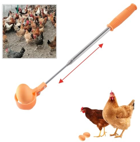 Äggfångsenhet för kycklingägg – förlängbart ägghandtag i rostfritt stål med halkfritt handtag, långsträckt ägglyftare för insamling av färska ägg från kycklingstall, fågelbo och jordbruk