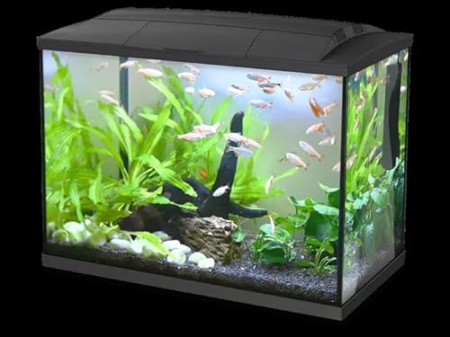Happet K60 Aquarium 60 l schwarz, komplettes Aquarium-Set mit LED-Beleuchtung und internem HE-400 Filter, ideal für Anfänger
