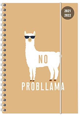 Collegetimer Llama 2021/2022 - Schüler-Kalender A5 (15x21 cm) - Lama - Ringbindung - Weekly - 224 Seiten - Terminplaner - Alpha Edition: ... Terminplaner (Collegetimer A5 Ringbuch)