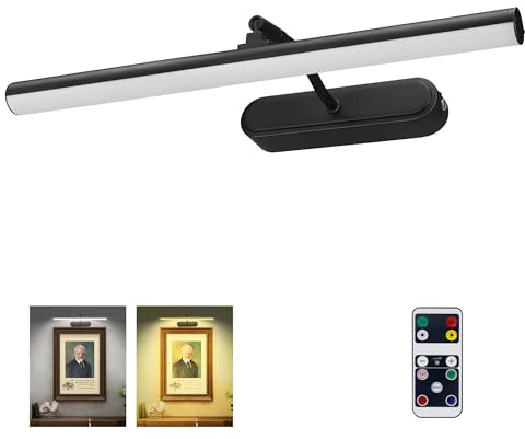 RAIFOOLLY Picture Light,3AA Battery Wall Lights,Wireless Art Lights for Paintings,Remote Control Accent Light with Timer and Dimmable for Frame,Portrait,Mirror-Black