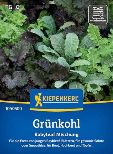 Kiepenkerl Grünkohlsamen Babyleaf Mischung 1040500 – Gemüsesamen für einen leckeren Grünkohl mit einer Wuchshöhe von 10 bis 20 cm und einem Inhalt für 350 Pflanzen - Saatgut