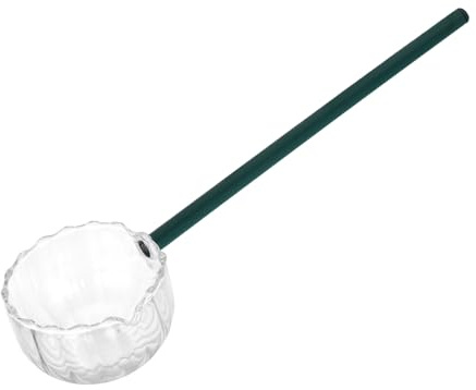 NUOBESTY Cuillère à Soupe en Verre Bec Verseur, Manche Long, Couleur Vert Lac, Cuillère à Pudding Polyvalente Cuisine et Bar, pour Mélanger, Servir et Doser,