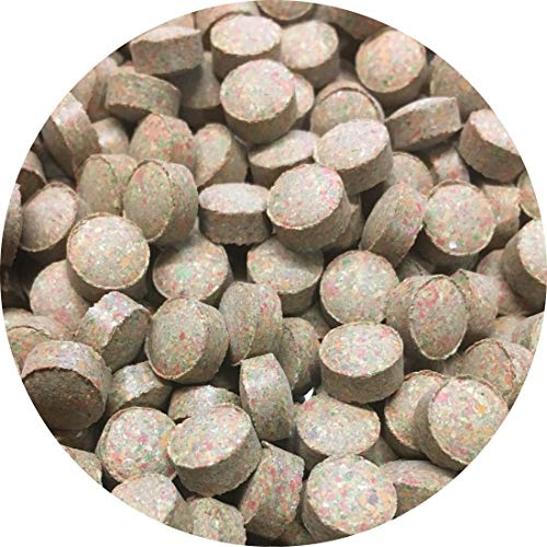 Futtertabletten Linsen Tabletten 8mm Braun Zierfischfutter Fischfutter Wels Tabs (500ml)
