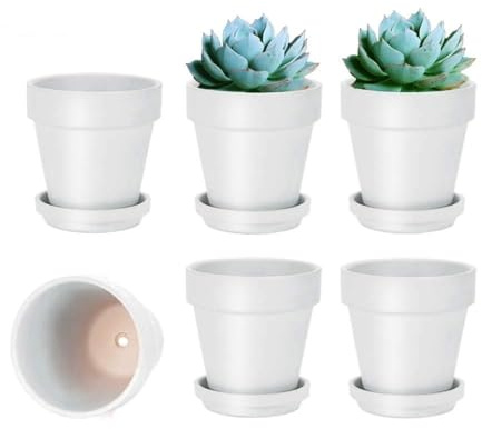vensovo Lot de 6 Petits Pots de Fleurs en Terre Cuite avec Soucoupe pour Plantes d'intérieur et d'extérieur Blanc 10,16 cm