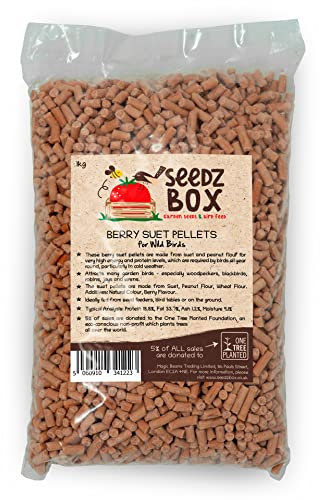 Suet Pellets Wild Bird Food 1kg - Berry Suet Pellets For Wild Birds - Attracts Woodpeckers Blackbirds Robins Jays and Wrens