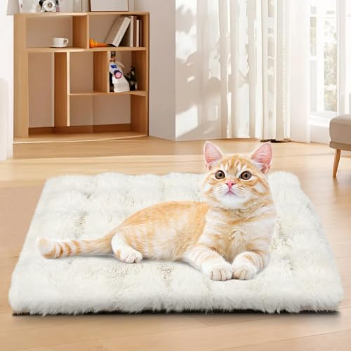 YGJT Katzenbettauflage, selbstheizend, Katzenbetten für den Innenbereich, flauschige Katzendecke, Welpenbettmatte, 45 x 60 cm, selbstwärmende Haustierdecke ohne Strom, waschbar (Weiß)
