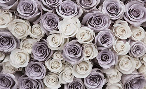Forwall Fototapete Blumen Rosen Vintage 3D Romantik Retro Wohnzimmer Schlafzimmer Vlies Tapete Wandtapete UV-Beständig Hohe Auflösung Montagefertig (1626, VEXL (208x146 cm) 2 Bahnen)