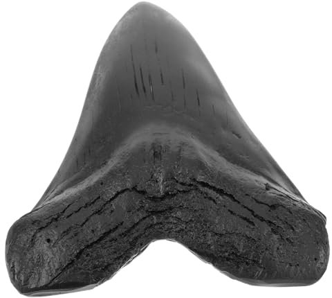 OUNONA Megalodon Haizahn Nachbildung Harz Realistische Paläontologie Deko Lehrmittel Schreibtisch Ornament