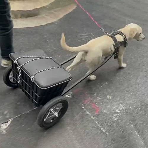 Doppelter Hundewagen, faltbarer Haustier-Kinderwagen mit abnehmbarer Tragetasche auf Rädern, Jogger-Kinderwagen für Autositz, Spaziergänge, Camping, Reisen, für 5–25 kg Haustiere, geeignet für große