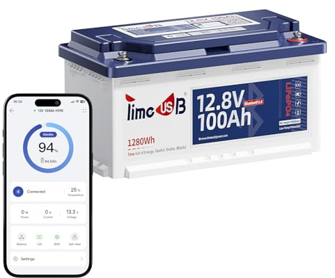 Timeusb 12V 100Ah H190 Batería LiFePO4 Bluetooth, para Bajo Asiento Camper | BMS 100A con Protección de Baja Temperatura,4000+ Ciclo Profundo,1280Wh Ideal para Caravanas,Barcos o Sistema Solar
