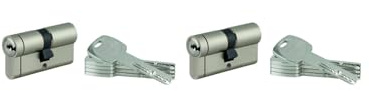 THIRARD Lot de 2 Cylindres Transit 1, 30x30 mm, Nickelé, 10 Clés | Serrure de porte, profil européen, finition nickelée, s'entrouvrant, 30x30 mm, usage domestique, installation rapide
