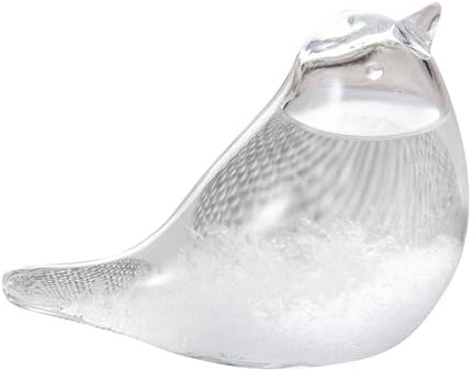 Hintyne Botella de Cristal con predicción meteorológica de Vidrio de tormenta barómetro de tormenta decoración de Mesa Miniatura con predicción meteorológica artesanía de Vidrio