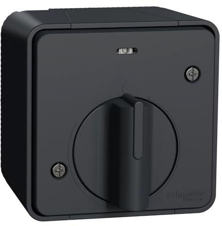 Schneider Electric - Mureva Styl, Interrupteur Temporisé LED, Saillie, IP55, IK08, Gris - MUR35067