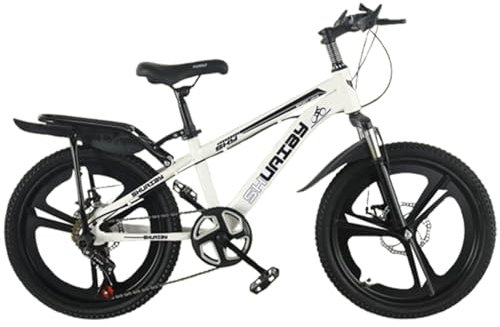 Kinder Mountainbike Mit Scheibenbremsen Stoßdämpfung und Geschwindigkeitsänderung Integriertem 24 Zoll Rad und Anti Rutsch Reifen D,24 inches