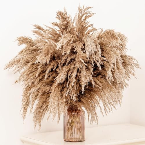 GOALS 20-Stück Flauschiges Pampasgras 60cm hoch braun Boho Raumdekoration Pampas-Blumenstrauß Hochzeit Herbst Heimdekoration