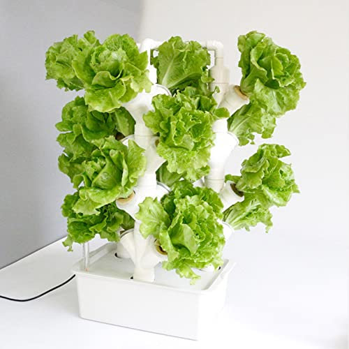 BEESOM Torre Idroponica, Sistema di Coltivazione Acquaponica, Kit di Coltivazione Aeroponica a Torre Frutta e Verdura con Pompa Idratante, Spugna di Colonizzazione, Serbatoio d'Acqua,24Holes
