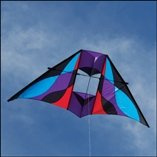 Into The Wind Rocky Mountain Delta Conyne Kite Dusk