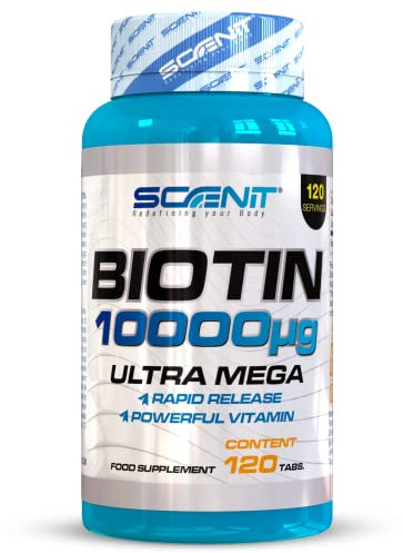 Biotin Hochdosiert 10000 mcg - 120 Tabletten für 120 Tage - Biotin Haare Tabletten - Vitamine haare - Vitamine für haare