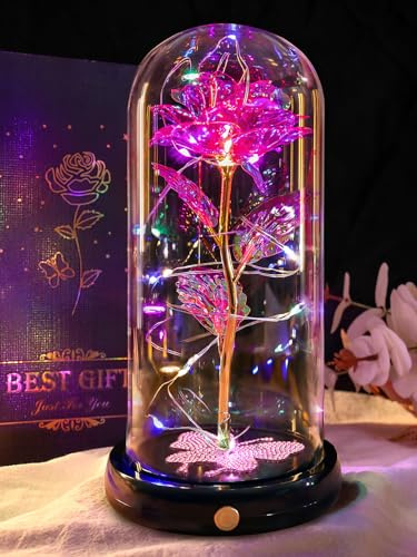 DEEMEI Valentines Galaxy Rose Gifts for Her Colorful Roses Birthday Gifts for Women Light Up Rose In A Glass Dome for Mum Wife Lover Artificial Crystal Flowers Gift for Valentines Day, Anniversary