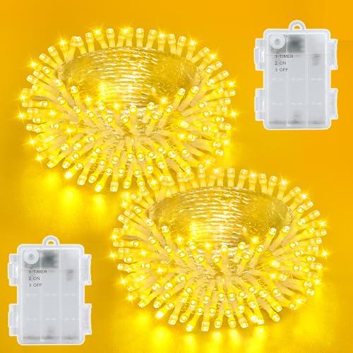 Dalugo [2 Stück Lichterkette Batterie, 3M 30 LED Warmweiß Wasserdicht Lichterketten mit 6h Timer für Innen außen