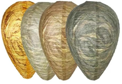 Jasaly Lot de 4 pièges à guêpes naturels à suspendre respectueux de l'environnement