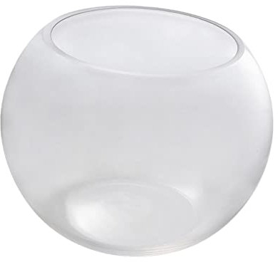 BESPORTBLE Aquarium Rond Verre De Globe Écologique pour Terrarium Aquarium Verre pour Maison Ou Hôtel
