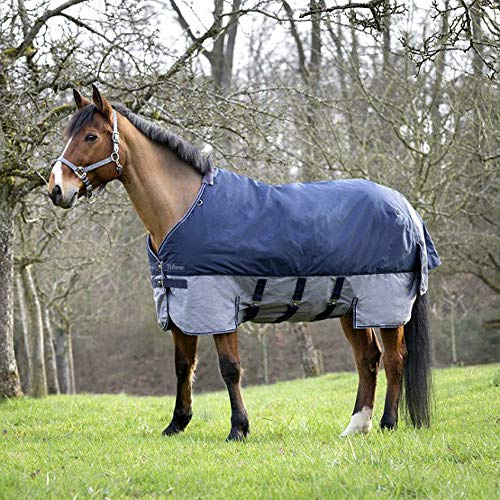 Equi-Theme/Equit'M Unisex's 400921763 Tyrex 600 D Pferdedecke mit Bauchgürtel, 190 cm