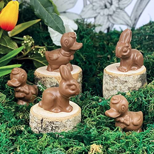 Lot de 5 mini Moulage chocolat de Pâques chocolat lait 5x15g = 75g - chocolat de Pâques - Fabrication 100 % artisanale et Française - chocolat lapin poule cloche poussin oeuf
