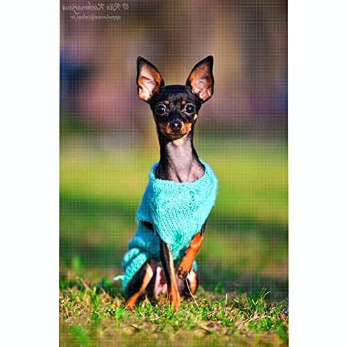kreuzstich stickpackungen vorgedruckt bilder kinder erwachsene anfanger Mini Hirsch Hund kreuzstich set diy 11ct Baumwolle Stoff Vorsortierte Garne SchlafzimmerInnendekoration (40×50cm)