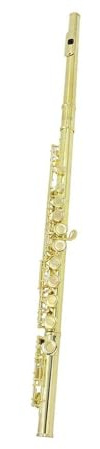 Querflöte Instrument 16 Löcher C-Ton-Flöte E-Ton Holzblasinstrument Vernickelte Silberne Kupfernickel-Röhrenflöte Mit Zubehör(Gold)