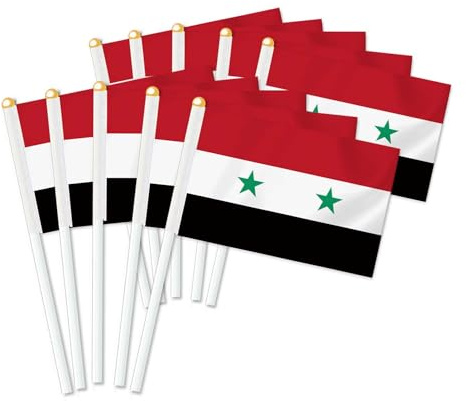25 Stück Syrien Handheld Flagge, Dekor Hand gehalten Hold Fahne, Dekoration Banner hand Syria