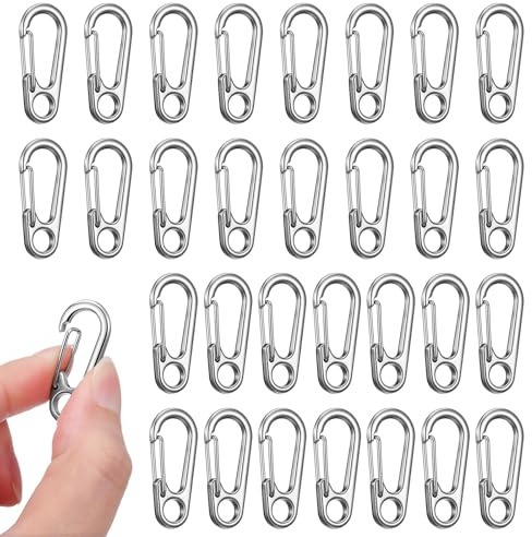 30 PCS Metal Spring Snap Hook Keychains, Mini Backpack Clip for Keys, Micro Keychain Hook Clip with a Transparent Storage Box Key Tiny Clips Sport Accessories for Backpack Keychain Outdoor Camping