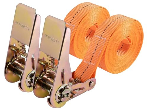 Set di 2 cinghie di fissaggio con cricchetto, lunghezza 5 m, larghezza 25 mm, portata fino a 800 kg, cinghie di ancoraggio resistenti alle intemperie e robuste per il trasporto di materiali, moto
