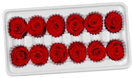 RUNROTOO Bouquet di Rosa Stabilizzata Vera Rossa Decorativa, Confezione da 12 Pezzi per Decorazione per Matrimoni e Casa