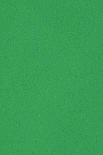 Netuno 50 Blatt Tonkarton Grün DIN A5 14,8 x 21 cm Grün 250g Burano Verde Bandiera edler Farbkarton für Verpackungen Karten Einladungen Papierboxen Schachteln Dekorkarton Bastelkarton farbig