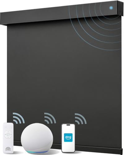 JaeJaes Alexa Smart Blinds for Windows, Blackout Electric Roller Shades with Remote Control, Easy Install Automatic Blinds for Indoor (60W x 183H CM, Black)