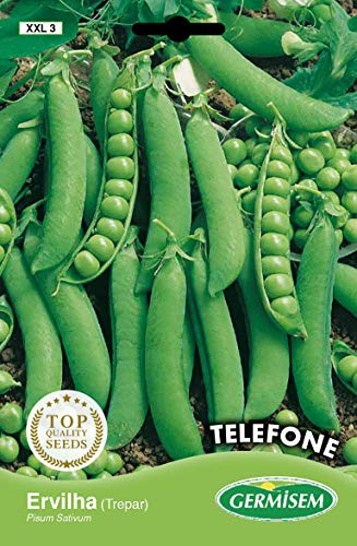 Germisem Ervilha Progress 9 Semillas de Guisantes 100 g