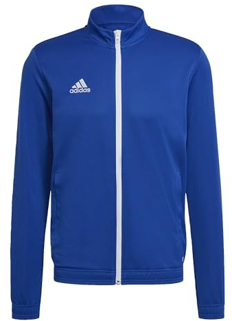 adidas Men's Entrada 22 Track Jacket, Royal Blue, L