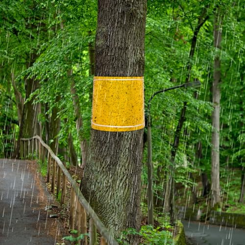 6 Stück Leimringe Selbstklebend 25CM*2M Obstbaum Leimringe für Apfelbaum Obstgarten Baum Schutz Leimringe