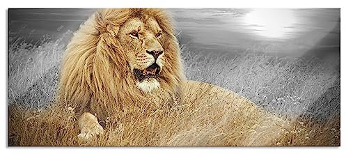 Pixxprint Glasbild Panorama, Wandbild aus Echtglas, mächtiger Löwe, 100x40 cm, inkl. Aufhängung und Abstandshalter