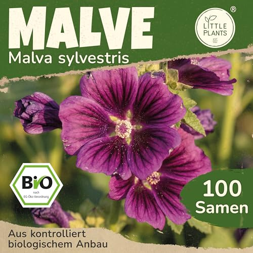 Little Plants BIO Malve Samen 100 Malvesamen Violett Blumensamen für Blumenkübel Samenfest Blumen Samen für Balkon und Garten