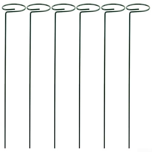 6 x Pflanzenstützen für Kletterpflanzen, Metallhalterungen für Innen- und Außenbereich, Gärten und Terrassen, 35 cm und 40 cm Optionen (35 cm)