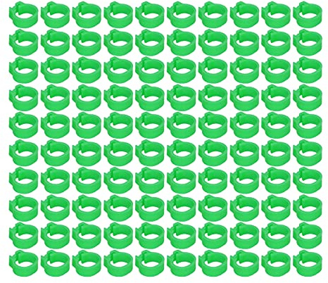 100 Stück 8 Mm Tauben-Identifizierungsringe – Beinbänder für Brieftauben – Keine Markierungen, Offenes Design – Langlebige Fußringe für Vogelmanagement und Identifizierung (GREEN)