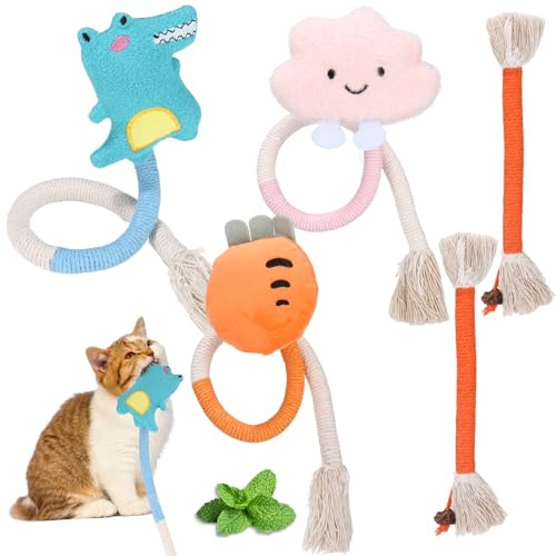 Ixydor Jouet Soins Dentaires pour Chat, Jouet Herbe a Chat, Jouet de Dentition Chaton, Kit 5 Jouet Chaton, avec Herbe à Chat, Nettoyage Dents, pour Grincer des Dents, Jeu Interactif