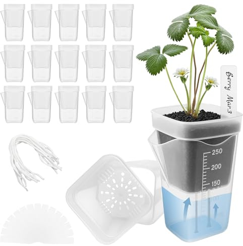Vozoor 15-Teiliges Transparente Selbstbewässerungstöpfe mini Blumentöpfe Pflanzset 11cm mit Wasserreservoir und Etiketten Für Sämlinge Kakteen Alocasia Schreibtisch Garten Balkon