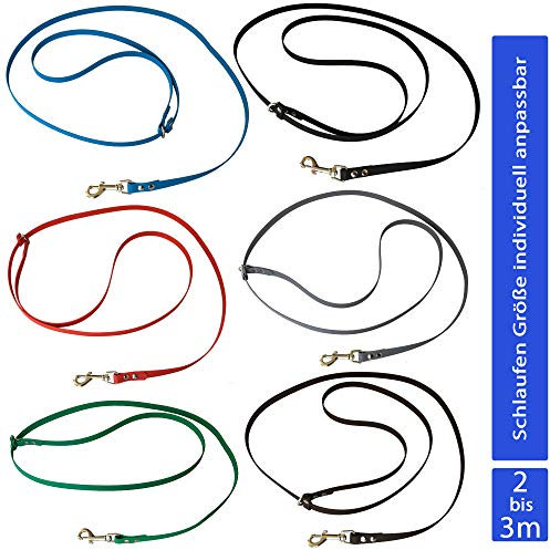 Umhängeleine Joggingleine 3m aus Biothane, Hundeleine für mittlere und große Hunde I schmutz- und Wasserabweisende Hundeumhängeleine I Grün