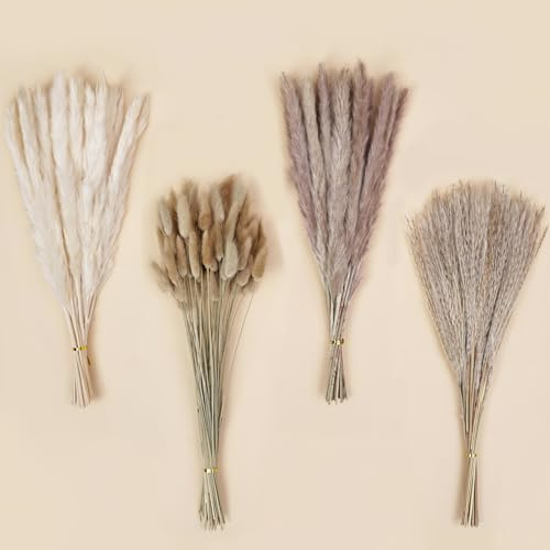 DomeStar 130PCS Dried Pampas Grass Bulks Fall Decor, 18 Natural Bunny Tail Grass, Boho Rustic Bouquet, Fall Decorations for Home, Farmhouse Table Vase & Wedding Decor