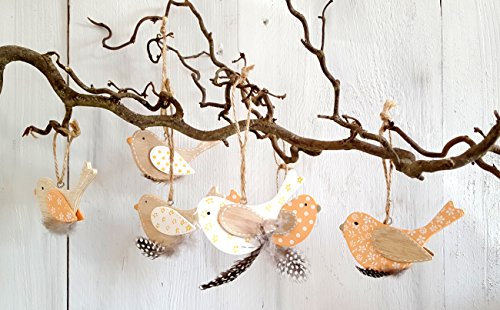 6er Set Anhänger Vögel mit Feder Deko Holz Vogel Holzanhänger Dekoanhänger Dekovögel (Vögel 6er Set)