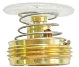 Ventile Gaswarmwasserbereiter Zubehör Wasser- und Gasglied-Ventilregler-Kern Großer Typ